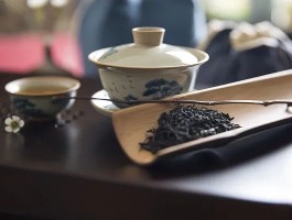 上海品茶2020【上海品茶喝茶工作室】
